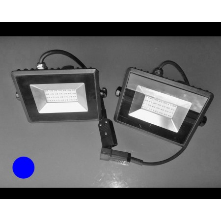 20W СИН LED FLOOD прожектор под наем